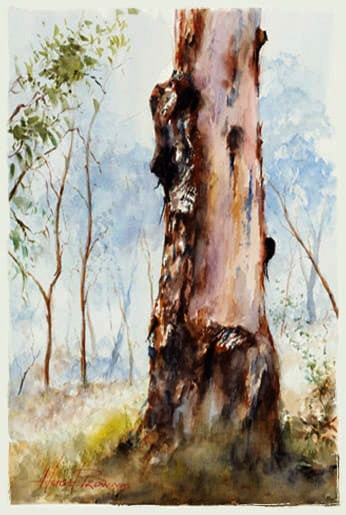 Hugh Browne watercolour gum tree