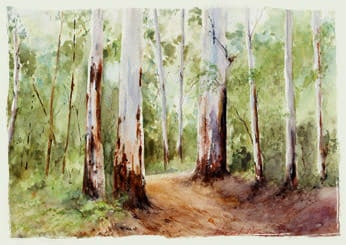 Hugh Browne watercolour Australian bush scene